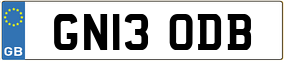 Truck License Plate
